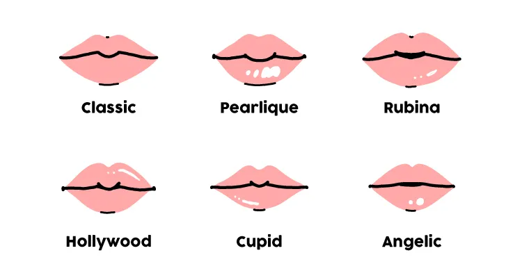唇の6つのタイプ