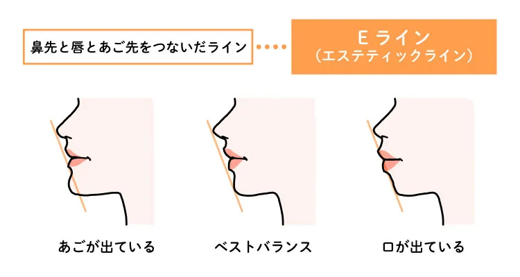 横顔美人の条件の一つであるEラインは、鼻先と唇とあご先をつないだラインのこと