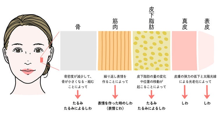 ほうれい線が起こる原因と影響