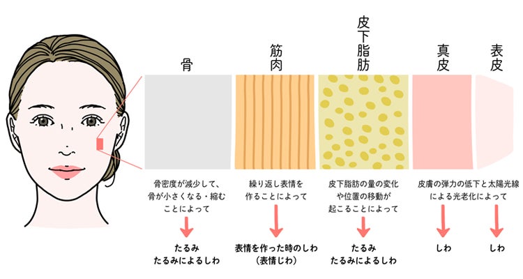 Nguyên nhân và tác động của rãnh mũi má