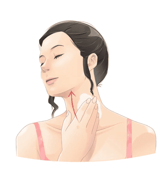 Image of how to apply sunscreen on the neck