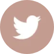 twitter-logo