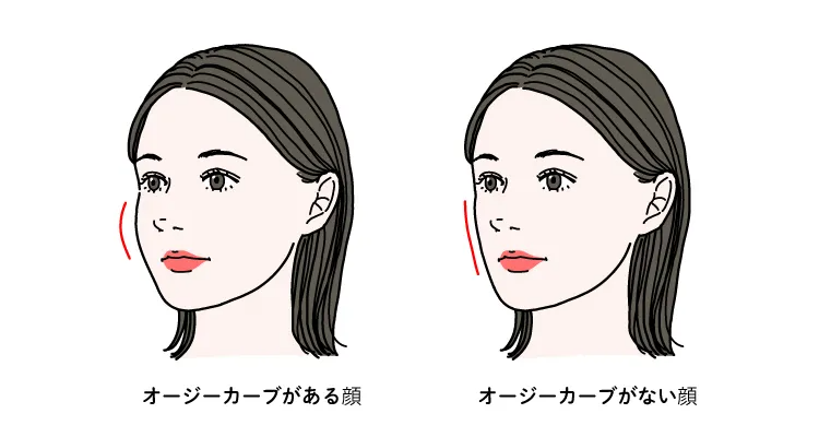 顔のこめかみから頬にかけて存在する曲線、オージーカーブは横顔美人の条件の一つ