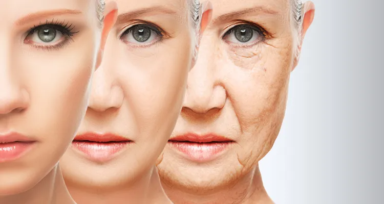 アンチエイジングは抗加齢・抗老化を意味する言葉