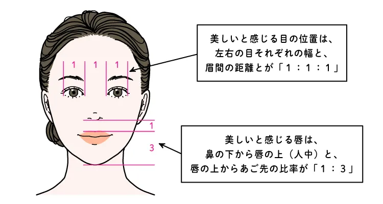 黄金比のポイント1-顔全体のバランス