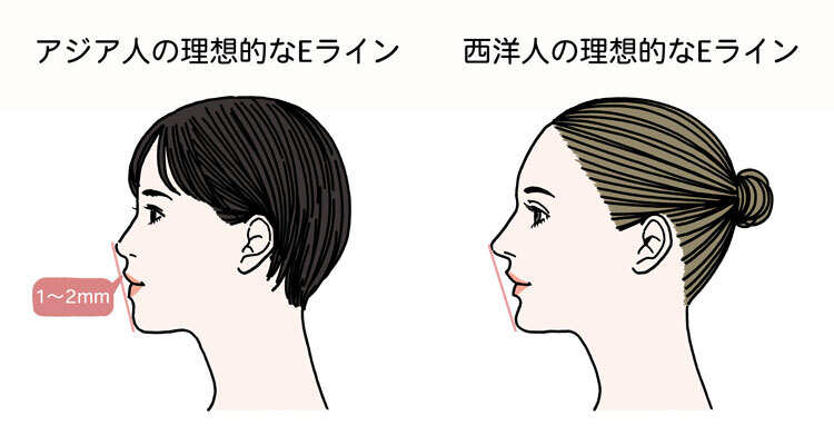 アジア人の理想的なEラインと西洋人の理想的なEライン