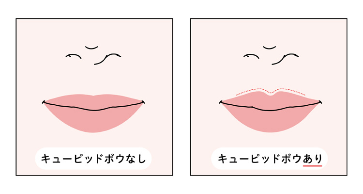 唇にキューピッドボウがあるとバブみ顔のポイントになる