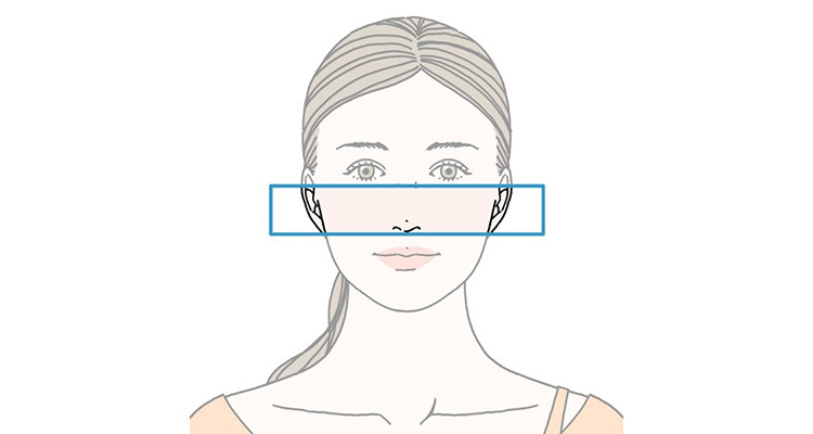 中顔面とは目の下の涙袋から鼻先までの範囲