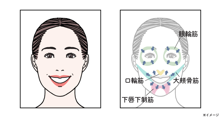 喜びの表情（笑顔）で働く筋肉（大頬骨筋・眼輪筋・口輪筋など）の図解