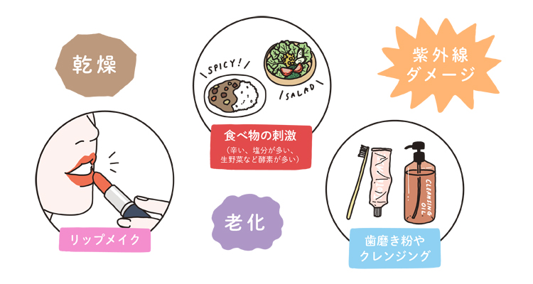 唇の縦じわが現れる原因