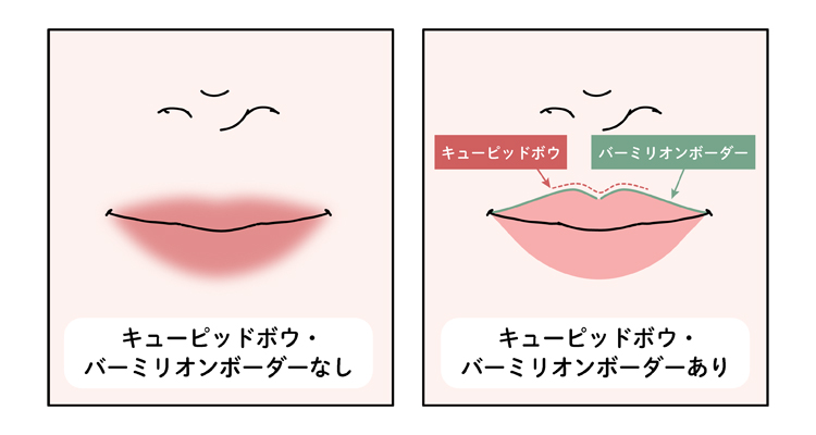 上唇の山の部分（キューピッド・ボウ）と唇の輪郭（バーミリオンボーダー）