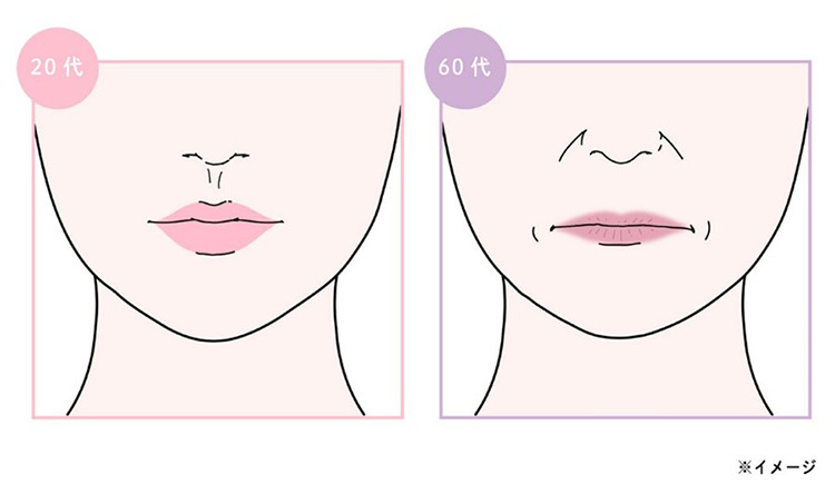 20代と60代の唇の加齢による変化の比較イラスト