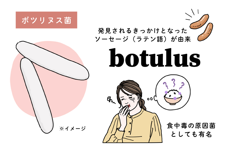 ボツリヌス菌の由来