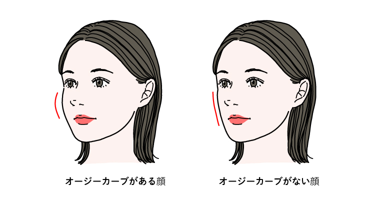 オージーカーブのある顔とない顔の違い