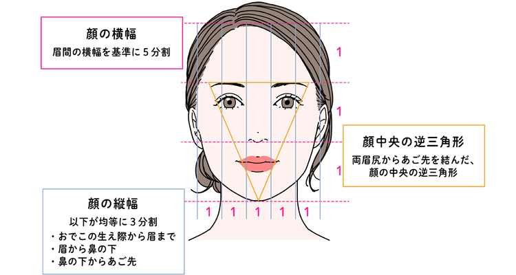 顔の横幅、縦幅、顔中央のバランスを表した図