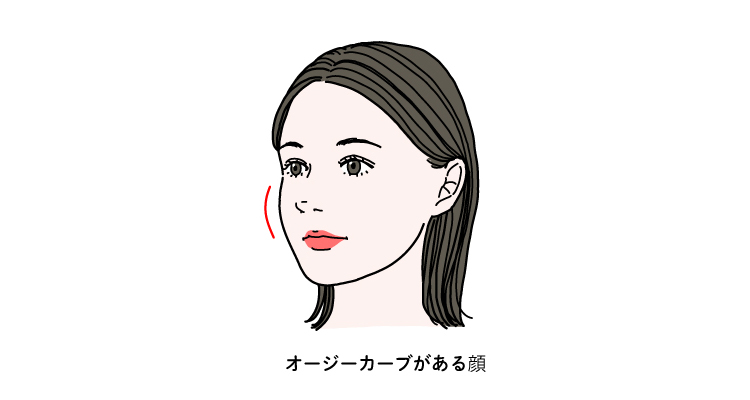 オージーカーブがある顔