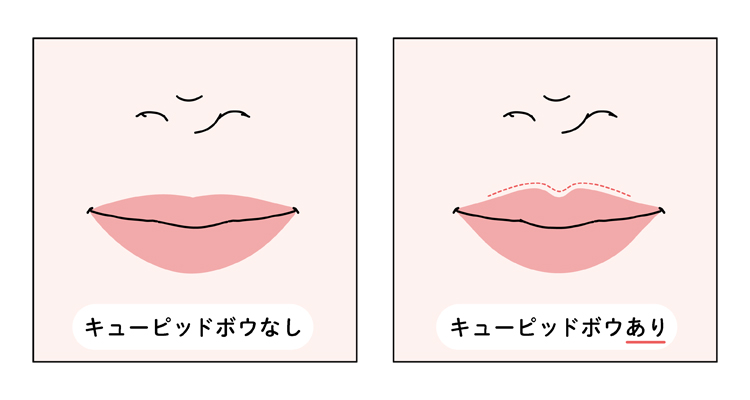 キューピッド・ボウがはっきりしている唇は若く見えることを解説した図