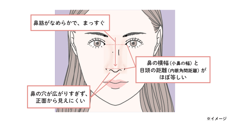 美しい鼻の条件