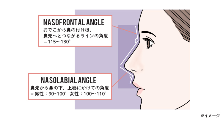 鼻単体ではなく、おでこや唇との「角度」のバランスによって美しい鼻に見える